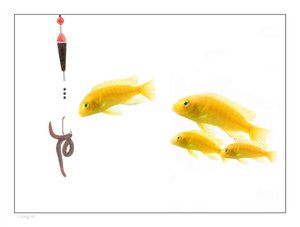 工具避坑指南：新手常犯的10个错误